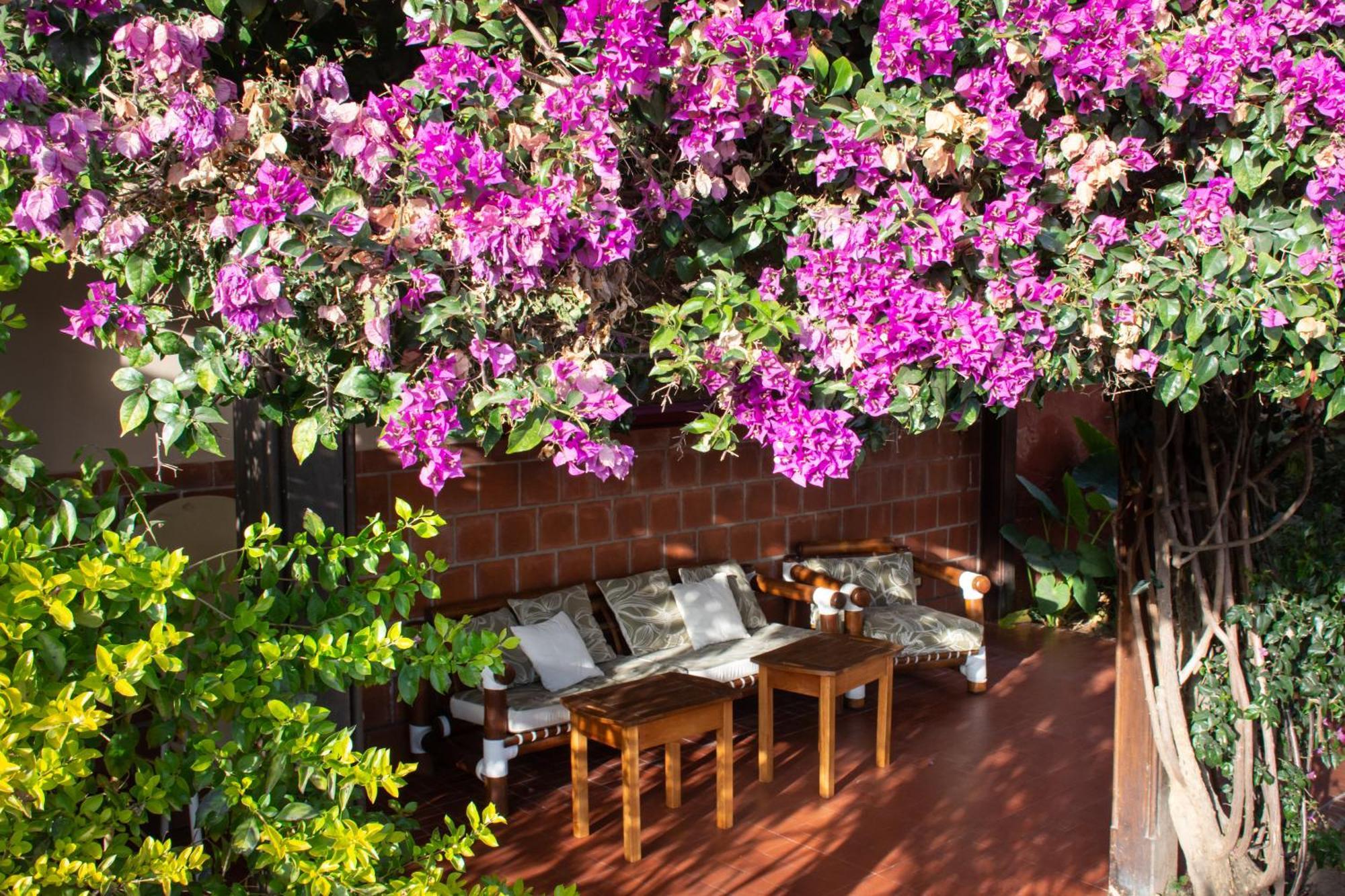 Hotel Boutique La Candela Salta Ngoại thất bức ảnh