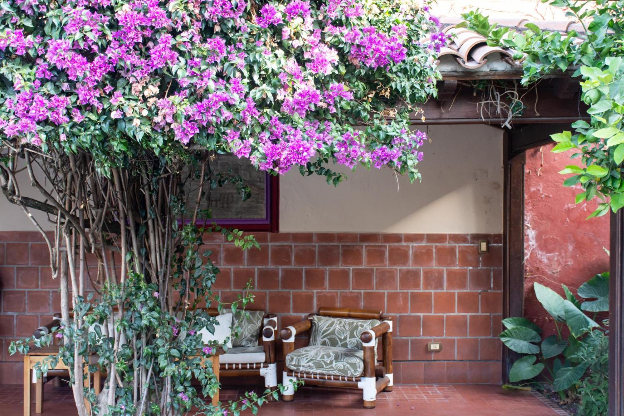 Hotel Boutique La Candela Salta Ngoại thất bức ảnh